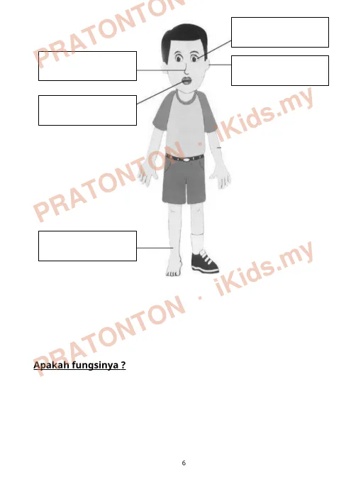 Pratonton muka 6 lembaran UJIAN PERTENGAHAN — Sains Tahun 1