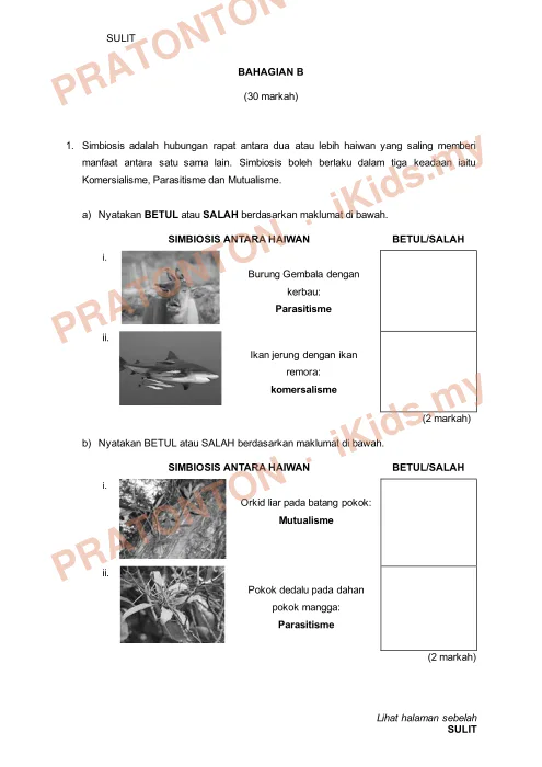 Pratonton muka 6 lembaran Ujian Pertengahan Sesi Akademik 2024 — Sains Tahun 6 — Sains Tahun 6