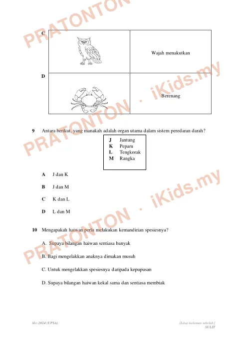 Pratonton muka 6 lembaran Ujian Pertengahan Sesi Akademik Mei 2024 — Sains Tahun 5 — Sains Tahun 5