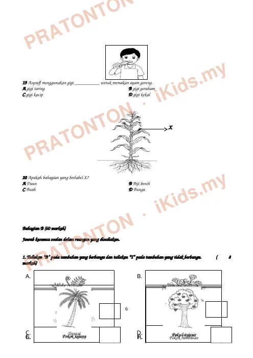 Pratonton muka 6 lembaran Ujian Sains 6 — Sains Tahun 3