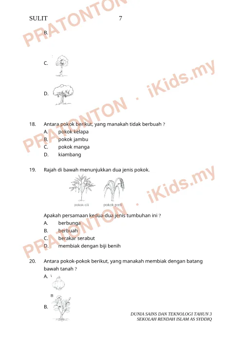 Pratonton muka 6 lembaran Ujian Sains 5 — Sains Tahun 3