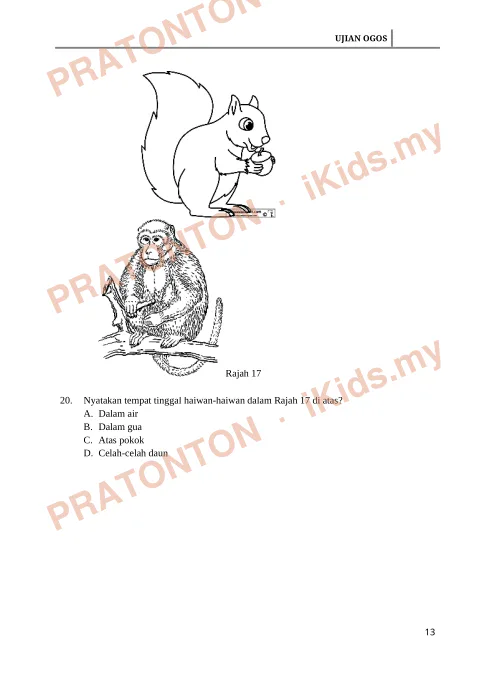 Pratonton muka 13 lembaran Ujian Sains — Sains Tahun 3