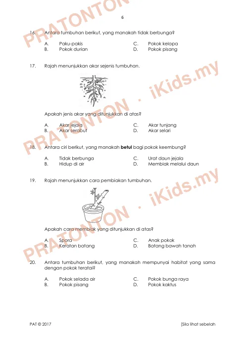 Pratonton muka 6 lembaran Ujian Sains — Sains Tahun 3