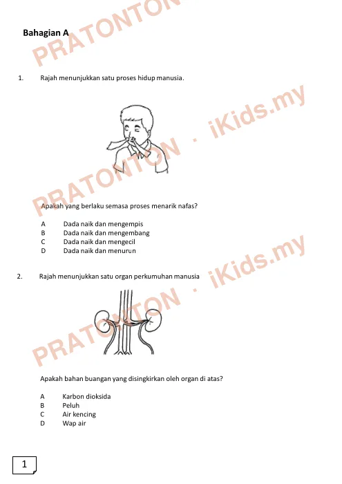 Pratonton muka 1 lembaran Ujian Sains 2 — Sains Tahun 4