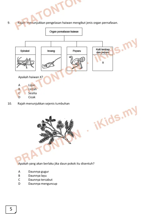 Pratonton muka 5 lembaran Ujian Sains 2 — Sains Tahun 4