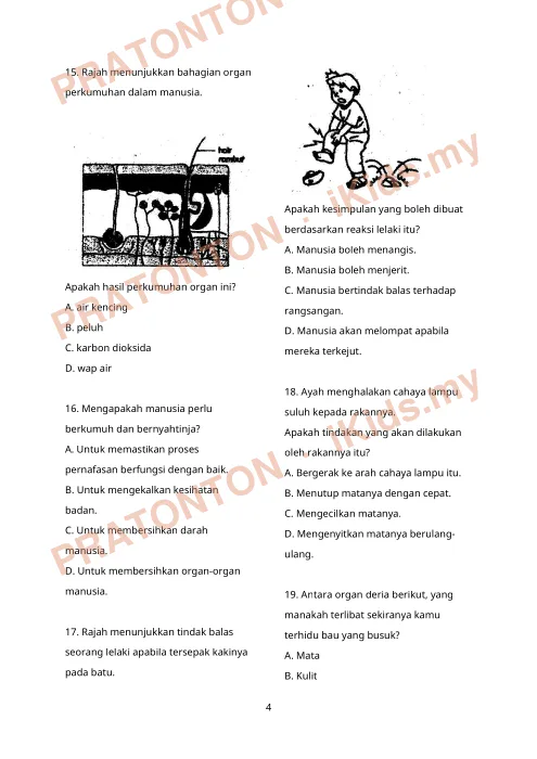 Pratonton muka 4 lembaran Ujian Sains 3 — Sains Tahun 4