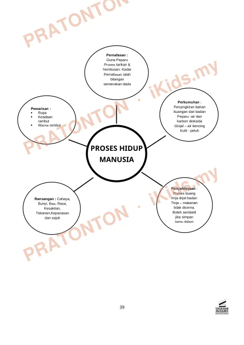 Pratonton muka 1 lembaran Ujian Sains 6 — Sains Tahun 4