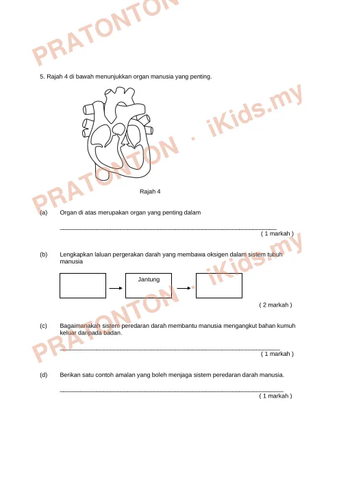 Pratonton muka 6 lembaran Ujian Sains Tahun 5 — Nama Murid (Set D) — Sains Tahun 5
